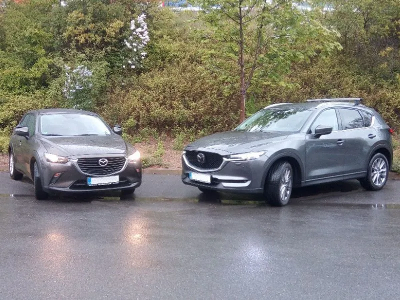 Fotografie autoškoly Autoškola Signál v Praze (1)