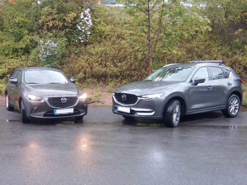 Fotografie autoškoly Autoškola Signál v Praze (1)